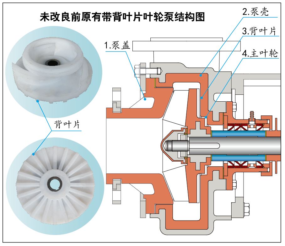 未改良前带背叶片泵结构图