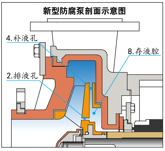 新型结构防腐泵结构示意图